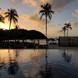 Meet your Posher, Mackenzie